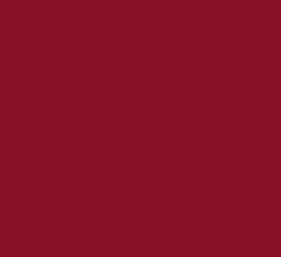 Colore Persiana 3003